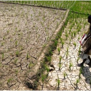 Drought Disaster Areas and the Need for Smart Management